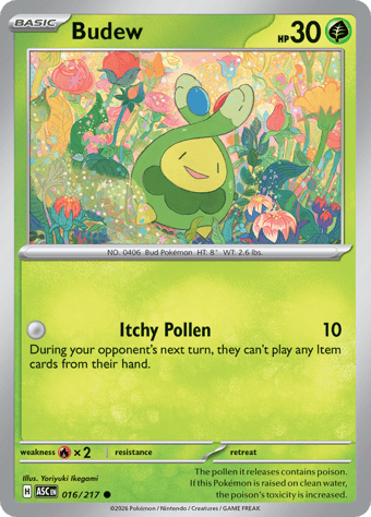 Budew Ascended Heroes Pokemon Card