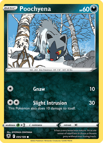 Poochyena Astral Radiance Pokemon Card