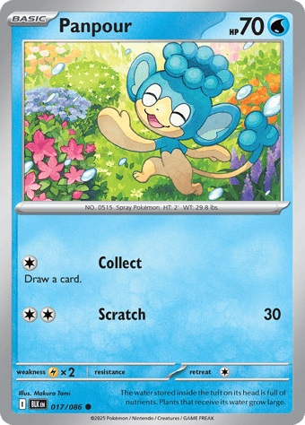 Panpour Black Bolt Pokemon Card
