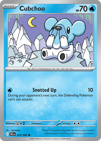 Cubchoo Black Bolt Pokemon Card