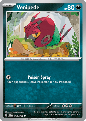 Venipede Black Bolt Pokemon Card