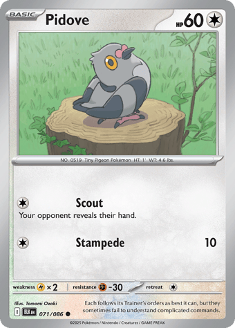 Pidove Black Bolt Pokemon Card