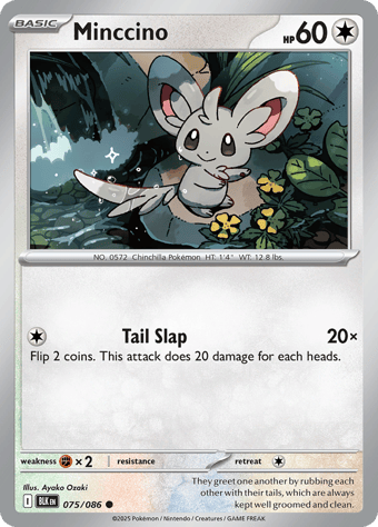 Minccino Black Bolt Pokemon Card