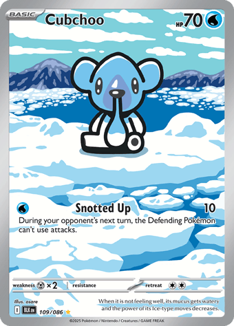Cubchoo Black Bolt Pokemon Card