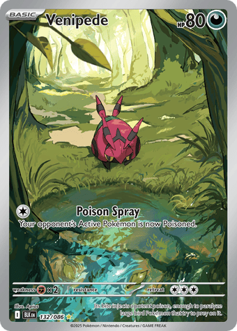 Venipede Black Bolt Pokemon Card