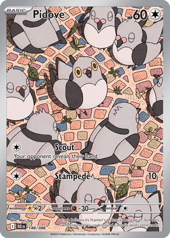 Pidove Black Bolt Pokemon Card