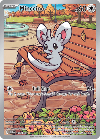 Minccino Black Bolt Pokemon Card