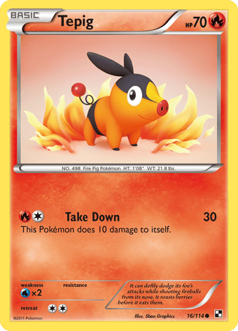 Tepig Black & White Pokemon Card