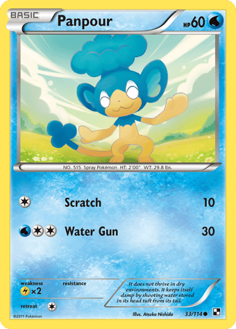 Panpour Black & White Pokemon Card