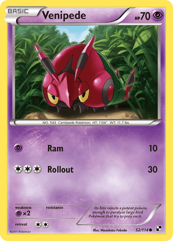 Venipede Black & White Pokemon Card