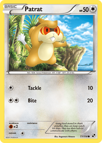 Patrat Black & White Pokemon Card