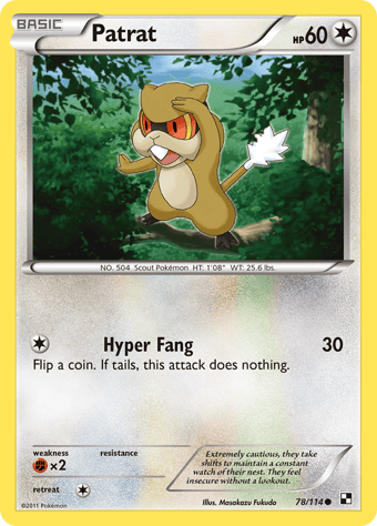 Patrat Black & White Pokemon Card