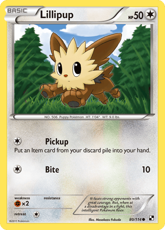 Lillipup Black & White Pokemon Card