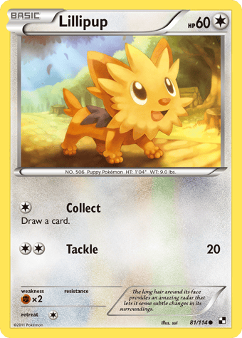 Lillipup Black & White Pokemon Card