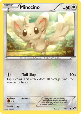 Minccino Black & White Pokemon Card
