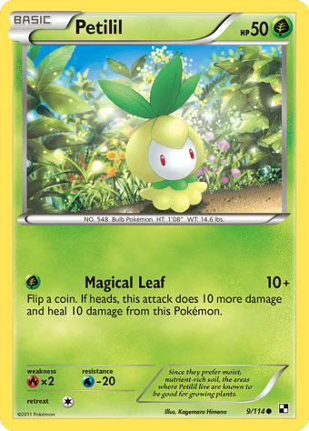 Petilil Black & White Pokemon Card