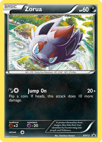 Zorua BW Black Star Promos Pokemon Card