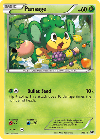 Pansage BW Black Star Promos Pokemon Card