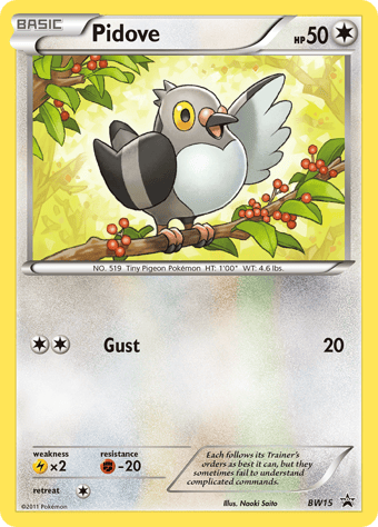 Pidove BW Black Star Promos Pokemon Card