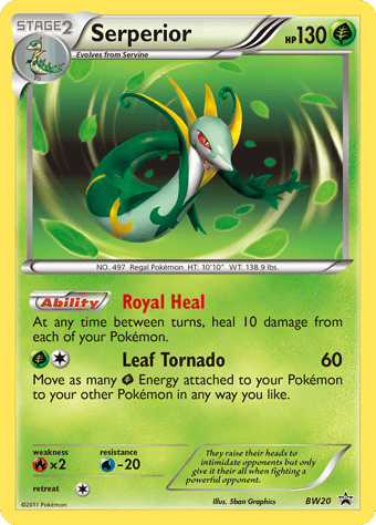 Serperior BW Black Star Promos Pokemon Card