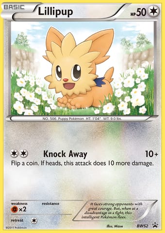 Lillipup BW Black Star Promos Pokemon Card