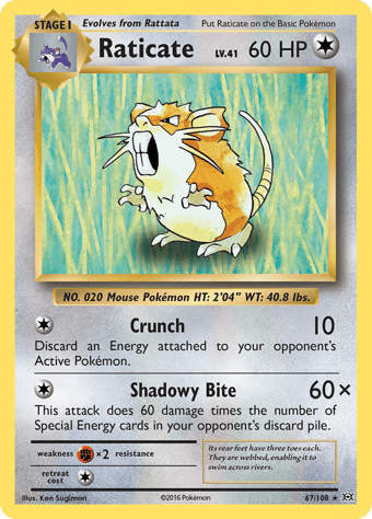 Raticate Evolutions Pokemon Card