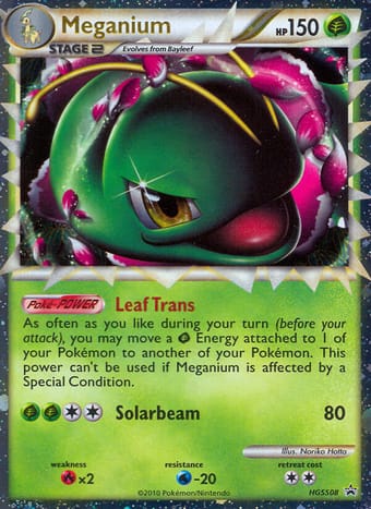 Meganium HGSS Black Star Promos Pokemon Card