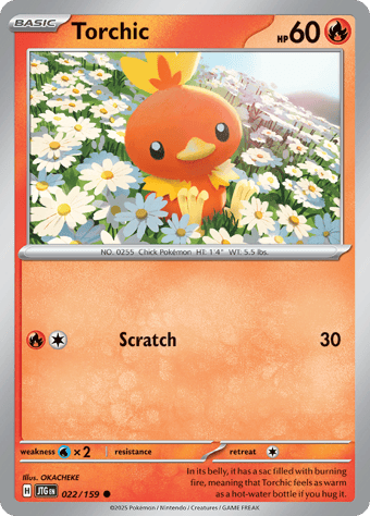 Torchic Journey Together Pokemon Card