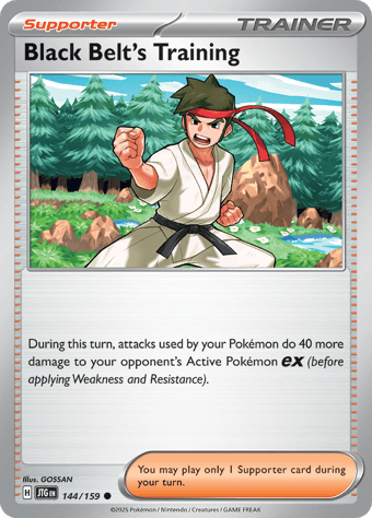 Black Belt's Training Journey Together Pokemon Card