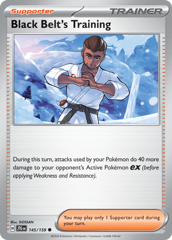 Black Belt's Training Journey Together Pokemon Card
