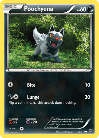 Poochyena Phantom Forces Pokemon Card