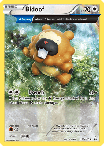 Bidoof Primal Clash Pokemon Card
