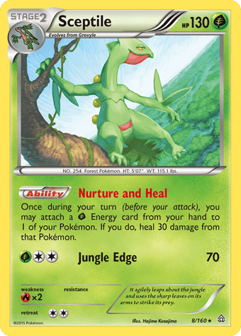 Sceptile Primal Clash Pokemon Card