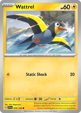 Wattrel Scarlet & Violet Pokemon Card