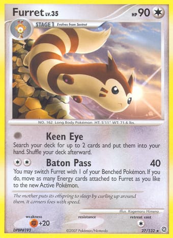 Furret Secret Wonders Pokemon Card