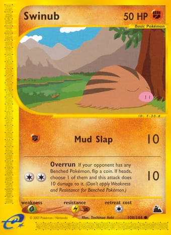 Swinub Skyridge Pokemon Card