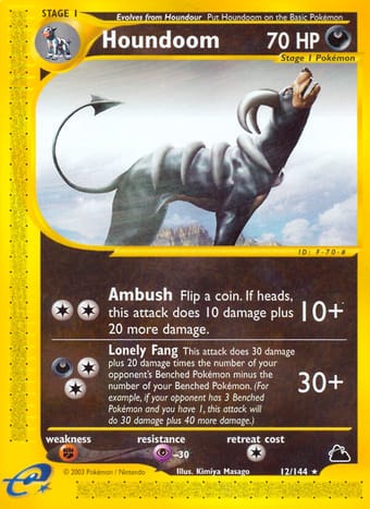 Houndoom Skyridge Pokemon Card