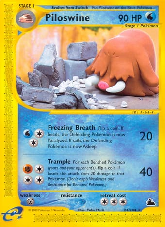 Piloswine Skyridge Pokemon Card