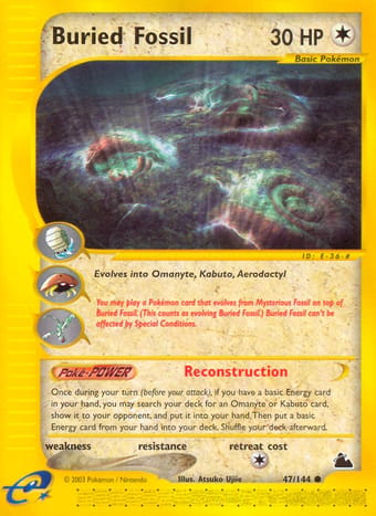 Buried Fossil Skyridge Pokemon Card