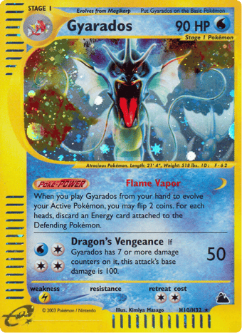 Gyarados Skyridge Pokemon Card