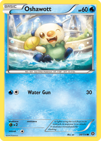 Oshawott Steam Siege Pokemon Card