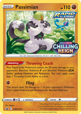 Passimian SWSH Black Star Promos Pokemon Card