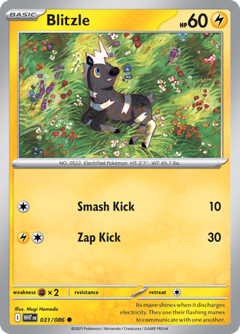 Blitzle White Flare Pokemon Card