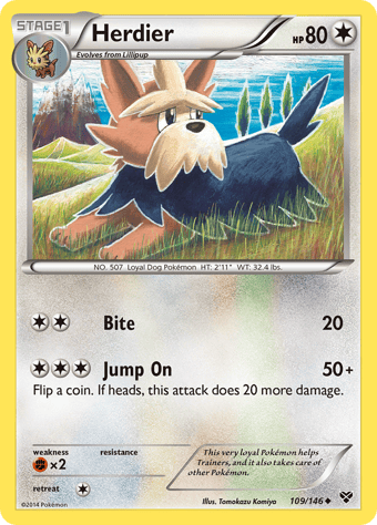Herdier XY Pokemon Card