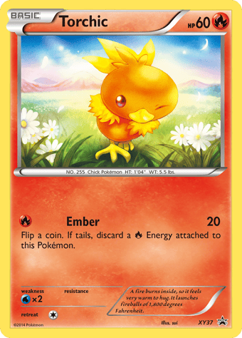Torchic XY Black Star Promos Pokemon Card
