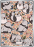 Pidove