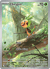 Chespin