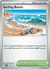 Surfing Beach