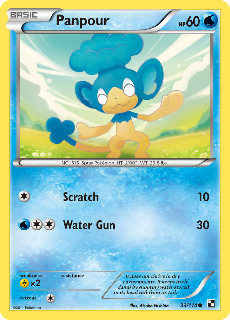 Panpour Pokemon Card