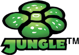 Pokemon Cards Jungle Logo